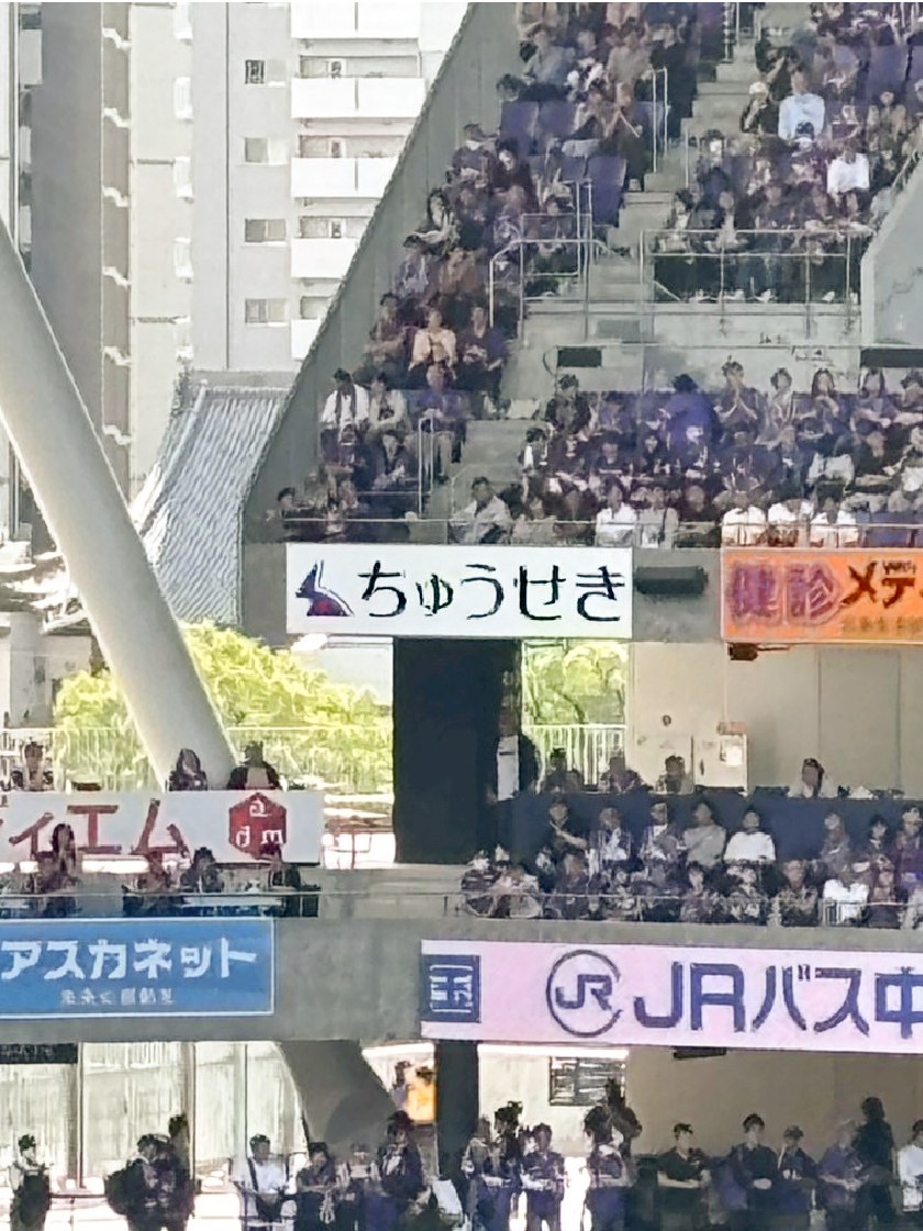試合を観戦している観客